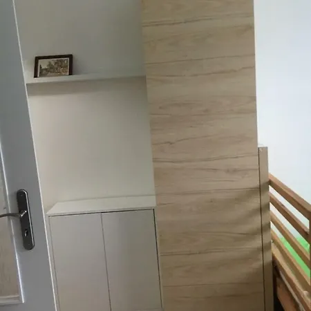 Byt 1+kk, Homestay
